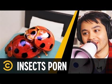Pink pussy of a teen got pestered by tiny <strong>insects porn</strong>. . Incsect porn